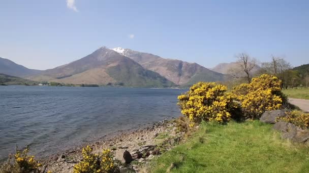 Glen coe mountains with snow topped mountains and yellow flowers Loch Leven Lochaber Geopark Escocia Reino Unido — Vídeo de stock