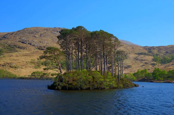 Lago ilha Loch Eilt Lochaber West Highlands da Escócia perto de Glenfinnan e Lochailort e oeste de Fort William — Fotografia de Stock
