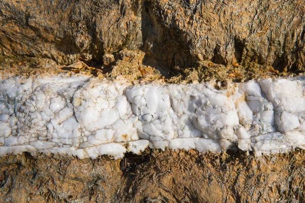 거친 갈색 바위 배경 텍스처 소용돌이와 자연 스러운 패턴 및 디자인 사이의 수평 바위의 화이트 라인 — 스톡 사진