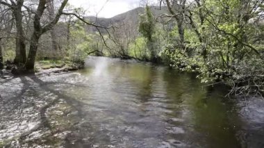 Glen Luss nehir İskoçya İngiltere temizleyin Loch Lomond İngiltere su besleme 