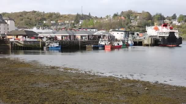 Oban harbour Scotland uk Scottish west coast port in Argyll and Bute in spring pan — Stock Video