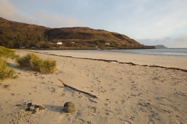 Calgary Bay Isle of Mull İskoçya İngiltere Adaları güzel beyaz kumlu plajları 