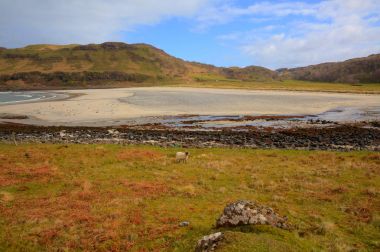 Calgary Bay Isle of Mull Argyll ve Bute İskoçya İngiltere'de İskoç Inner Hebrides güzel bahar gün panoramik görünüm üzerinde