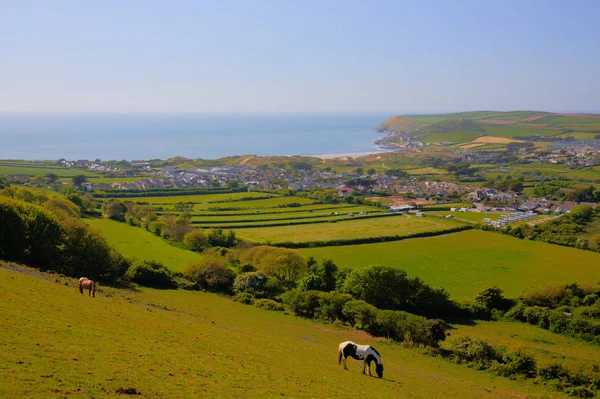 Devon countryside view to Croyde bay England UK in summer with ponies — Stock Photo, Image