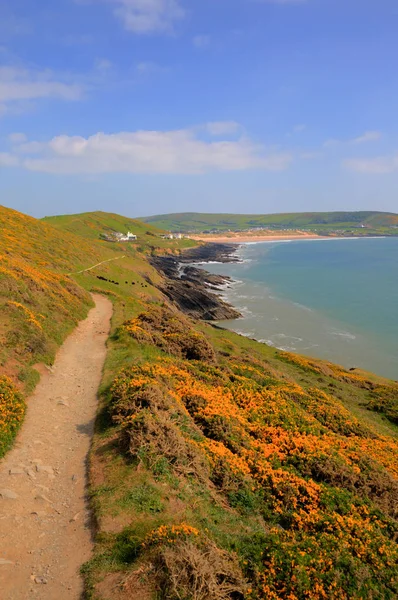 푸른 하늘 여름에 울러 컴 데 본 영국 영국에서 Croyde 해안 경로 — 스톡 사진