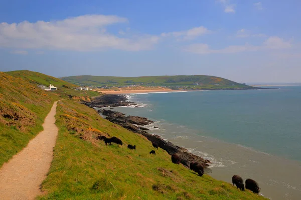 Croyde mavi gökyüzü ile yaz aylarında sahil yolu Woolacombe Devon İngiltere'de İngiltere'den — Stok fotoğraf