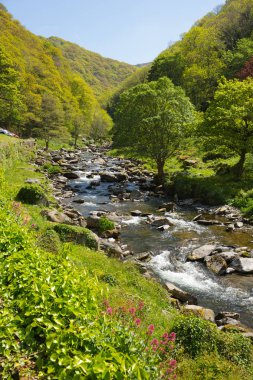 Watersmeet için yolda Lynmouth yakınındaki güzel Devon nehir Lyn 