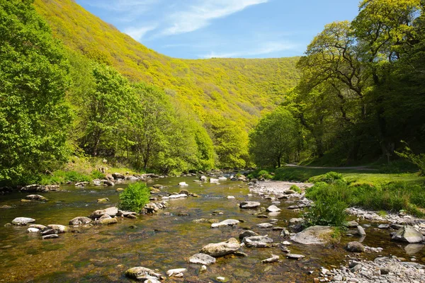 Séta a Watersmeet Lynmouth Devon közelében folyó Lyn — Stock Fotó