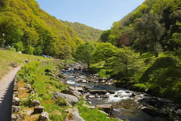 Напрямку Lynmouth Девон дійти до Watersmeet уздовж річки Англії Великобританії — стокове фото