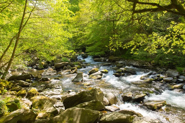 Ποταμός που ρέει πάνω από βράχους Lynmouth Ντέβον Αγγλία Uk — Φωτογραφία Αρχείου