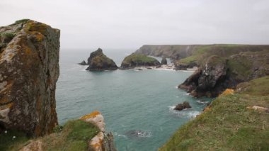Kynance Cove kertenkele Cornwall İngiltere İngiltere 