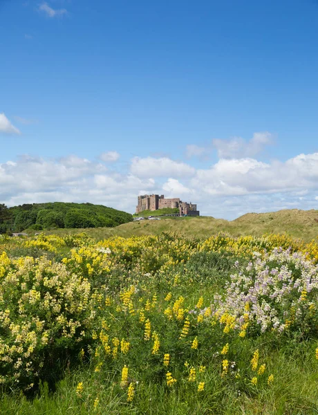 Bamburgh Castle Northumberland north England UK — Stock Photo, Image