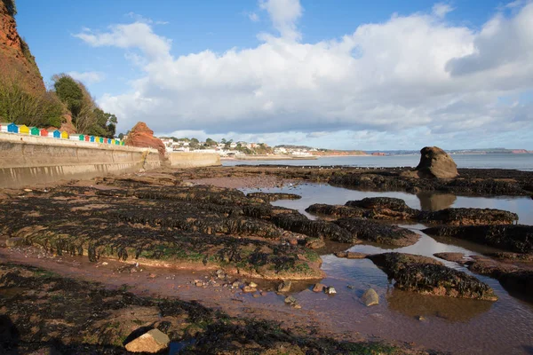 岩のプールとビーチ鉄道と海ダウリッシュ デボン イギリス イギリスの海岸の町を表示 — ストック写真