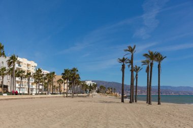 Roquetas del Mar playa Costa de Almera, Andaluca Spain with palm trees clipart