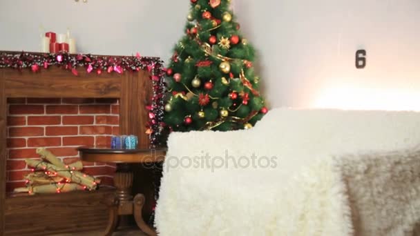 Weihnachtliches Fotostudio. — Stockvideo