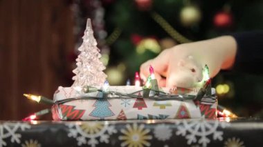 Hamster adresten Noel ağacı