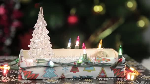 Criceto all'albero di Natale — Video Stock