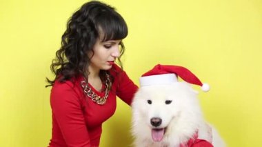 Yeni yıl kap üstünde belgili tanımlık köpek yıpranmış.