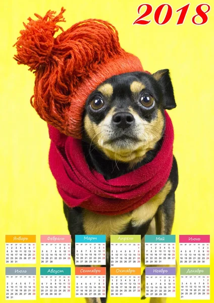 Calendar in the year of the dog. — Stock Photo, Image