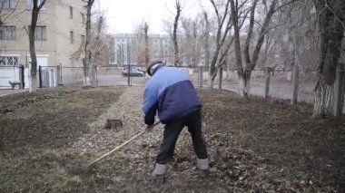İşçi eski sonbahar yaprakları kaldırır. Adam hademe ıslak eski yaprakları komisyon bir yığın toplar.