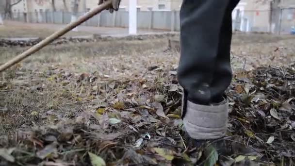 Der Arbeiter Entfernt Alte Herbstlauben Ein Hausmeister Sammelt Nasses Altes — Stockvideo