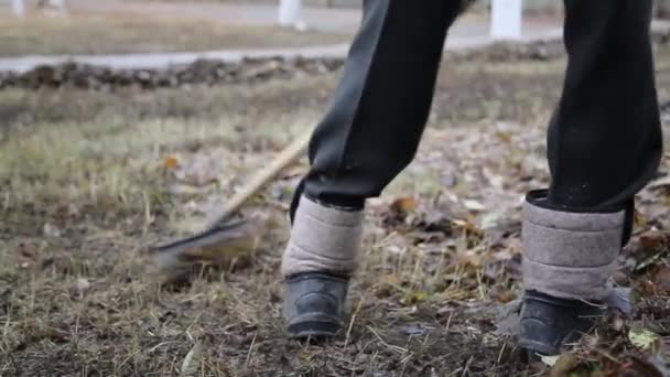 Trabalhador Remove Velhas Folhas Outono Homem Zelador Recolhe Rake Folhas — Vídeo de Stock