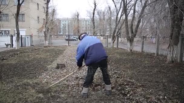 Der Arbeiter Entfernt Alte Herbstlauben Ein Hausmeister Sammelt Nasses Altes — Stockvideo