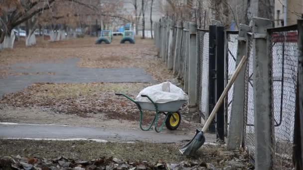 Hulpmiddelen Schop Bezem Voor Het Verzamelen Van Herfstbladeren Natte Gevallen — Stockvideo