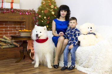 Genç bir anne ile oğlu ve bir köpek, bir Noel ağacı.