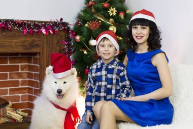 Genç bir anne ile oğlu ve bir köpek, bir Noel ağacı.