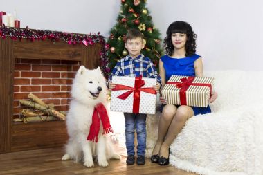 Genç bir anne ile oğlu ve bir köpek, bir Noel ağacı.