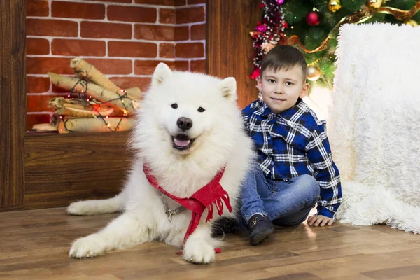 Noel'de büyük bir köpek ile bir çocuk.