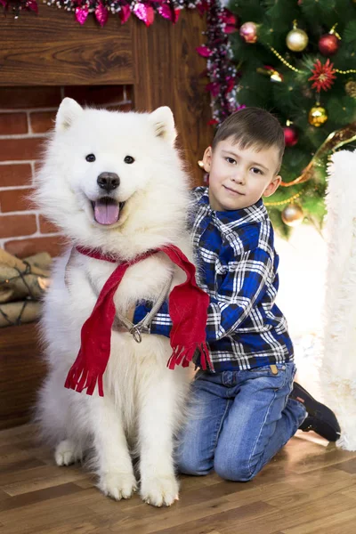 Chłopiec z dużego psa na Boże Narodzenie. — Zdjęcie stockowe