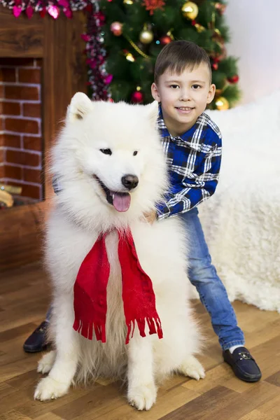 Chłopiec z dużego psa na Boże Narodzenie. — Zdjęcie stockowe