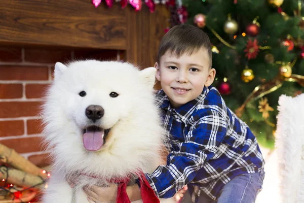 Noel'de büyük bir köpek ile bir çocuk.