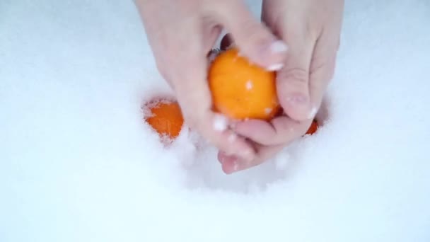 Ein Mann Wischt Mandarinen Aus Dem Schnee Orangenernte Ist Mit — Stockvideo