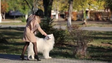 Sonbahar montlu bir kız parkta bir köpeği eğitiyor. Bir kadın paltosu sokakta bir köpeği eğitiyor. Köpek arka ayakları üzerinde duruyor..