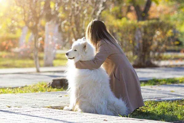 La maîtresse avec son chien regarde au loin avec rêverie — Photo