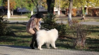 Kız köpeğiyle oynuyor. Büyük safkan beyaz bir köpek metresinin üstüne atlar ve arka ayakları üzerinde durur.