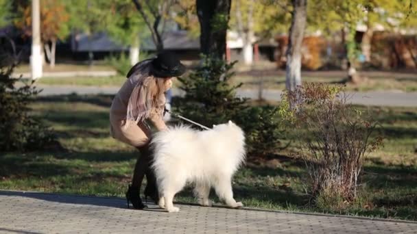 Κορίτσι Παίζει Σκύλο Της Ένα Μεγάλο Καθαρόαιμο Άσπρο Σκυλί Πηδάει — Αρχείο Βίντεο