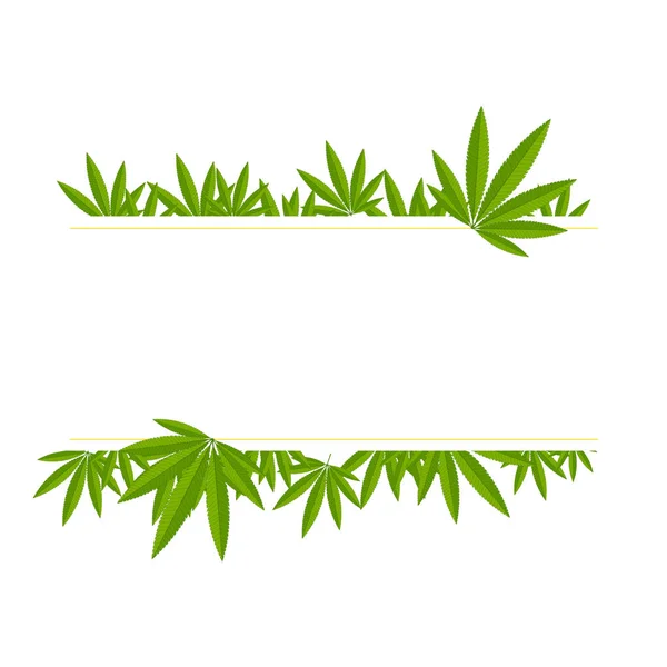 Kenevirden gelen mesaj için çerçeve. Açılmış kenevir dalları beyaz arkaplandaki yazı için bir çerçeve oluşturur.