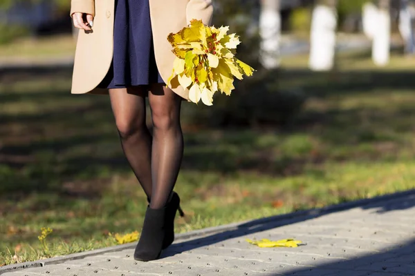 Gelbe Blätter und ein Ebereschenzweig in der Hand. — Stockfoto