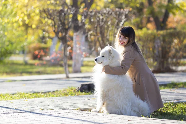 A amante com seu cão está sonhando olhando para a distância , — Fotografia de Stock