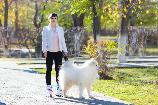 Girl learns to skate walking with a dog. — Stock Photo, Image