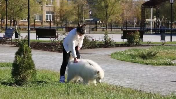 Дівчина Білому Одязі Великим Білим Собакою Дівчина Білому Одязі Великим — стокове відео