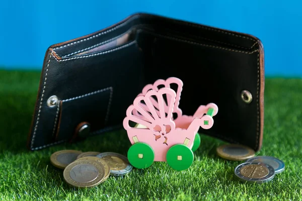 Ailelerin ve çocukların mali güvencesi.