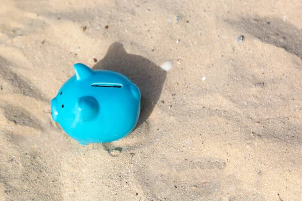 Blue piggy bank pig on warm fine sea sand, savings on vacation. The concept of accumulating money for a summer vacation.