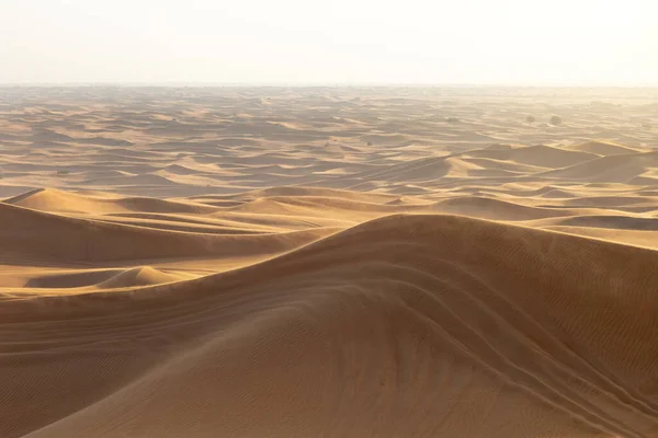 Zandduinen Van Woestijn Met Sporen Van Auto Wielen Foto Van — Stockfoto