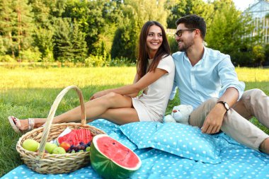 Mutlu çiftimiz parkta romantik piknik üzerinde aşık. İlişki
