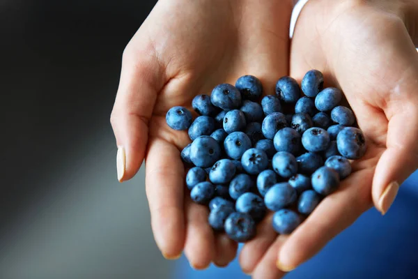 Здоровое органическое питание. Женские руки полны спелых голубых ягод — стоковое фото